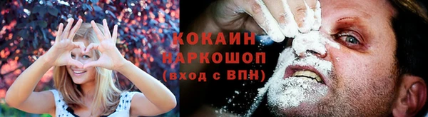 прущие крисы Ладушкин