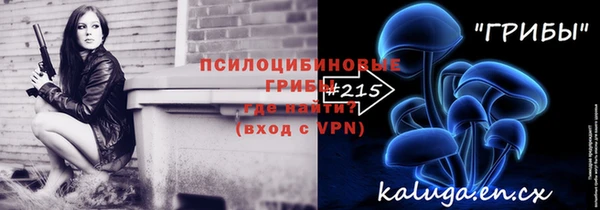 мдпв Лагань