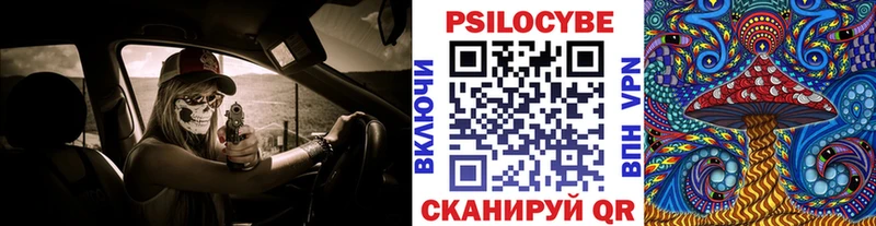 kraken зеркало  Кяхта  Галлюциногенные грибы ЛСД 
